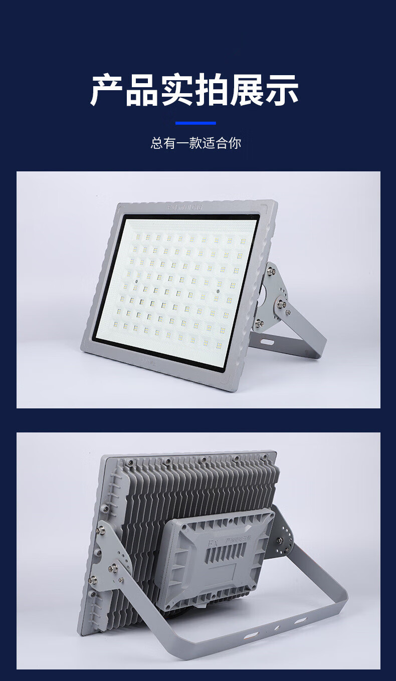 Qianzhiyi LED Explosion-Proof Light, Warehouse Factory Workshop High-Power Circular 50W Gas Station Tunnel Lighting, Industrial Chemical Plant EX Explosion-Proof Floodlight, Anti-Corrosion Waterproof Outdoor Spotlight 1