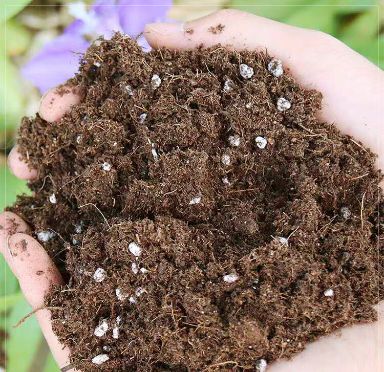 通用型营养土10l 家庭园艺花土泥炭土育苗土种菜土发财树龟背树花苗