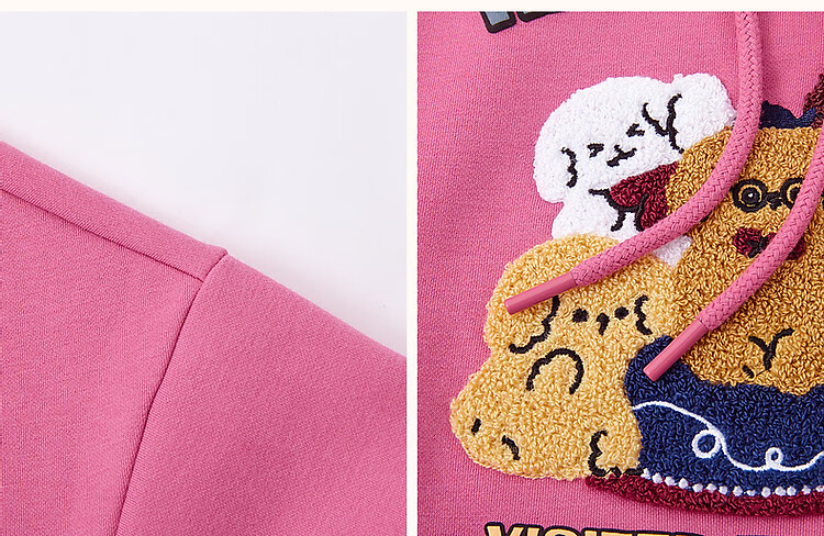 Dme Winter Casual Hooded Letter Animal Towel Embroidery Fleece-Lined Warm Sweatshirt Women's Top, Light Water Green, XL 13
