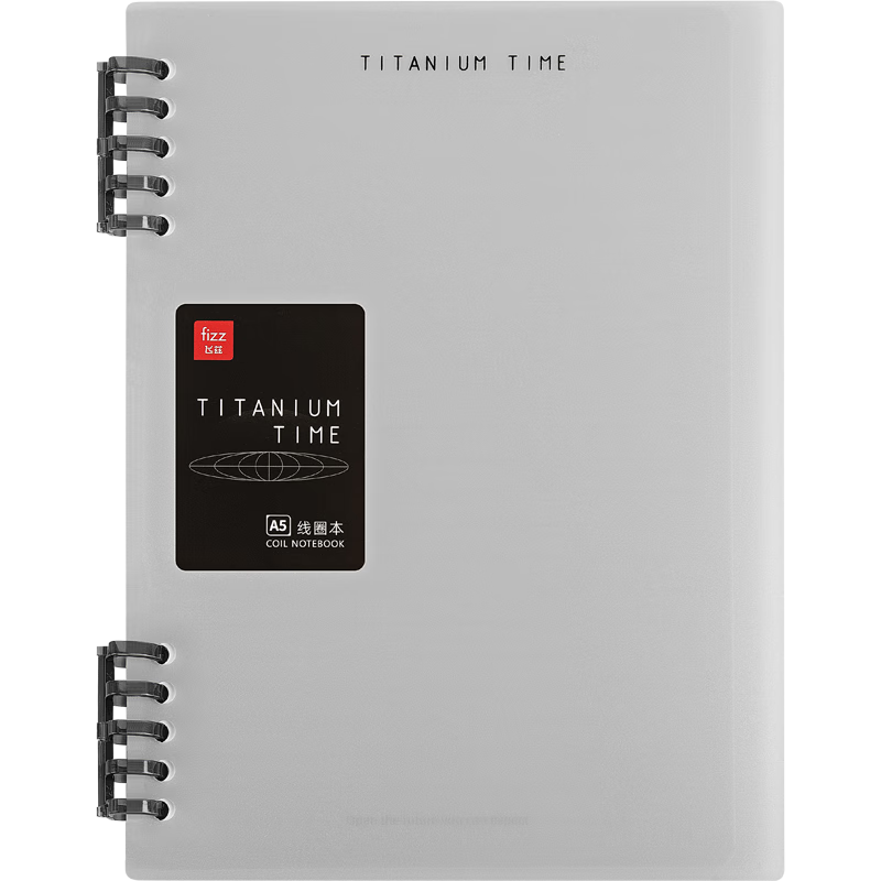 Fizz A5 Notebook with 60 Sheets, 10 Detachable Ring-Bound Loose-Leaf Pages, PP Cover, Memo Pad, Journal, Diary, Study Book, Gray Silver FZ33725
