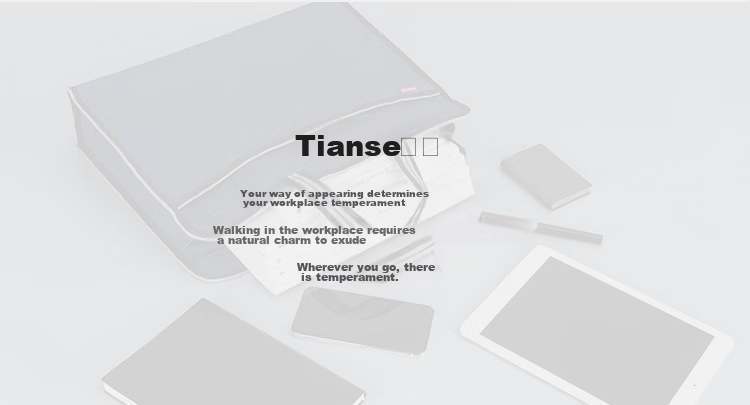 TIANSE Handheld Zipper Document Bag Briefcase for Men And Women, Simple 3D Business Office Meeting File Bag, Promotional Training Portable Large Capacity, Customizable TS-225 2