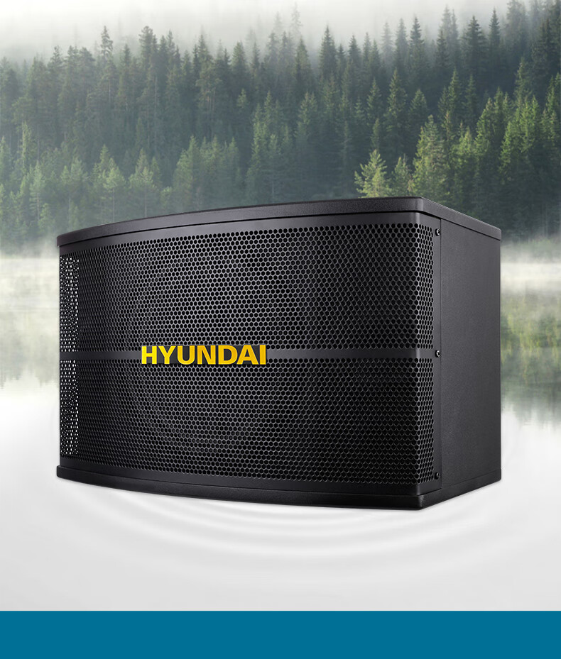 HYUNDAI Professional 10-Inch Card Holder Home Theater KTV Speaker Home Combo Professional Entertainment Karaoke Meeting Stage Equipment Vertical Speaker 6
