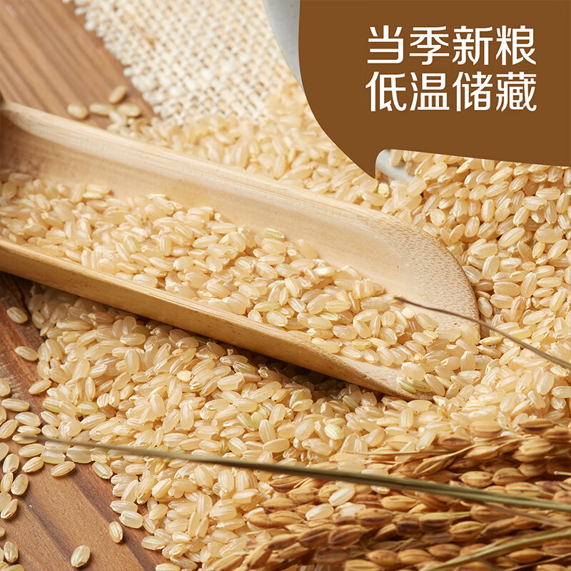 初萃 中粮吉林糙米2斤 五谷杂粮 大米伴侣 粗粮主食 罐装