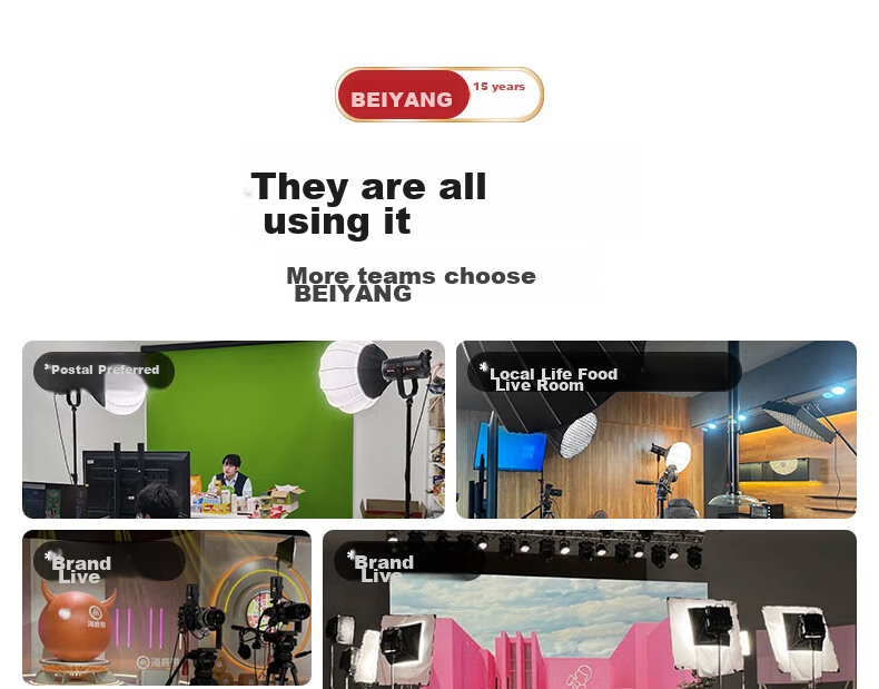 Beiyang Live Streaming Photography Fill Light, Live Streaming Light, Spherical Deep-Throw Light, Plant Light, Professional Studio Soft Light, High-Brightness COB Soft Light Ball, Portrait Beauty Environment Light 6