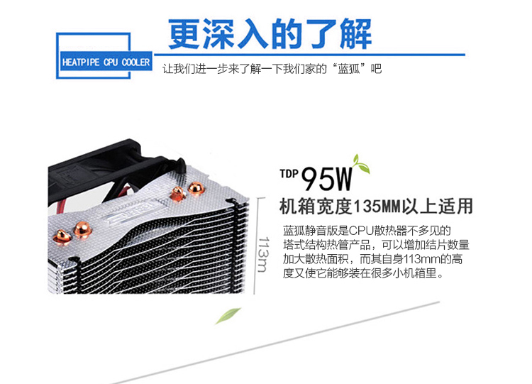 蓝狐_04.jpg