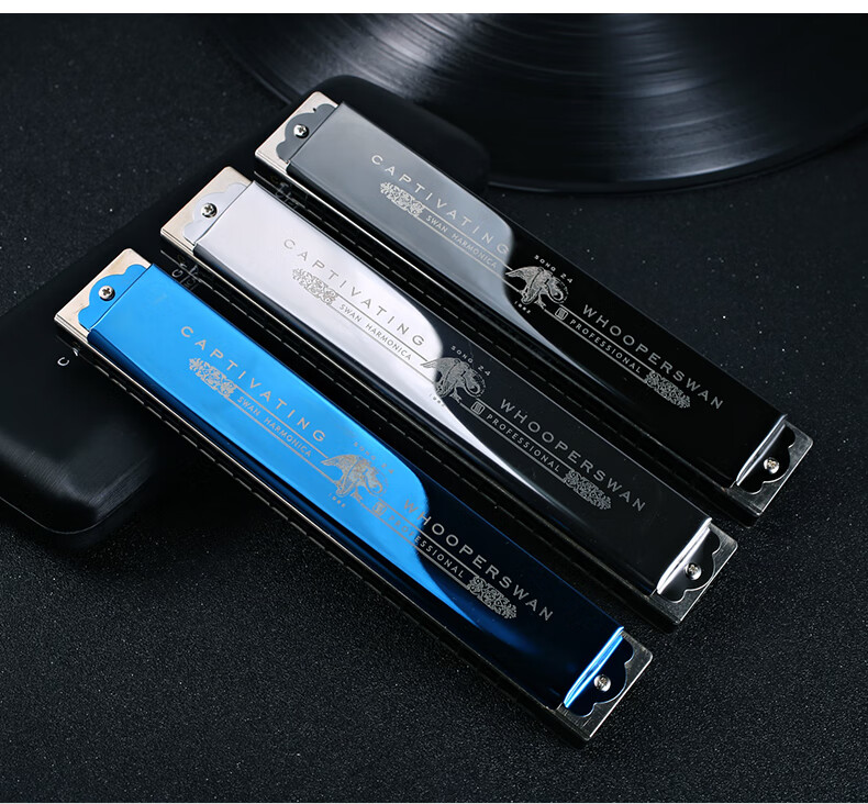 SWAN 24-Hole Polyphonic, Japanese Imported Harmonica, Advanced Adult Professional Performance Harmonica in C Key (Silver) 13