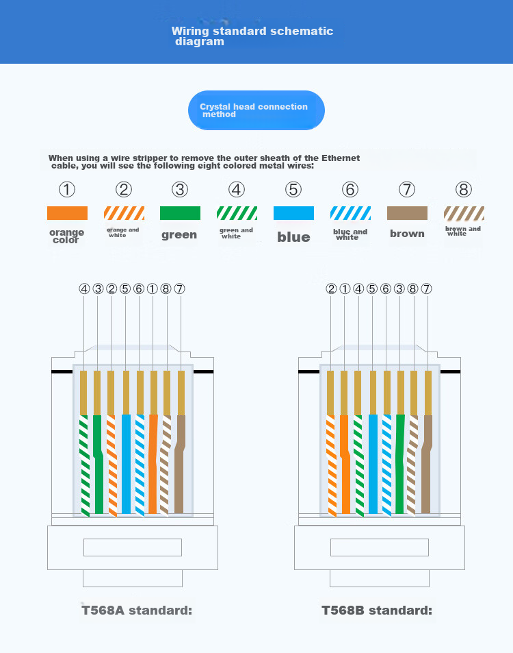 CHOOSEAL (CHOSEAL) CAT6A Unshielded Twisted Pair Cable, 10 Gigabit High-Speed, Pure Copper Core, Original Engineering And Home Installation Box Cable, Blue, 305 Meters, QS2668BT305 17