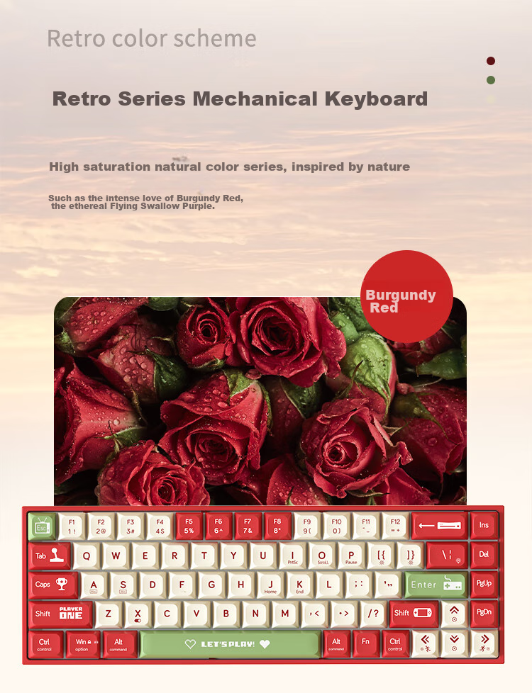 AJAZZ AK680 Wired Mechanical Keyboard, Dual-Color Keycaps, 68 Keys, Full Hot-Swappable, Customizable Mechanical Keyboard, Mixed Colorful Lighting Effects, Portable And Compact, Gray-White, Red Switches 3