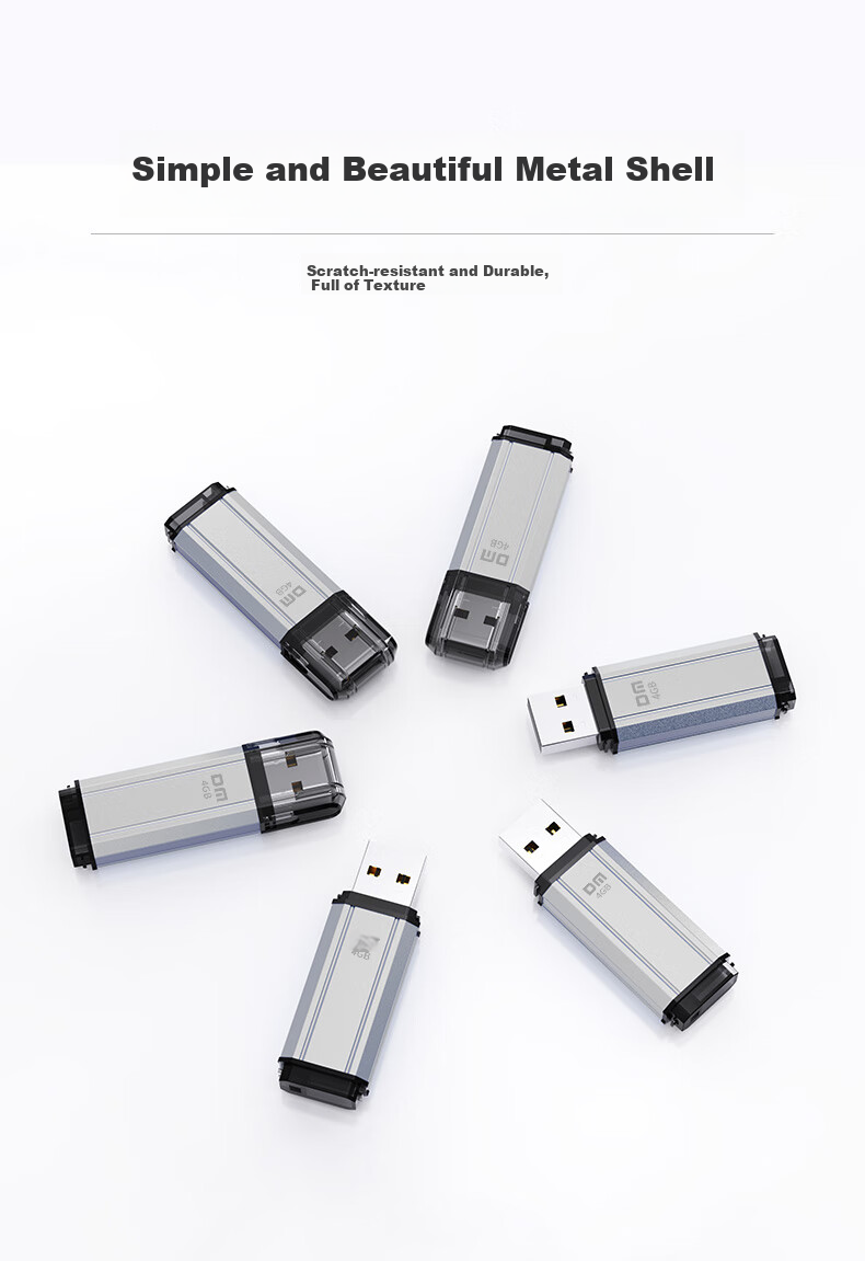 DM Daimai 4GB USB2.0 Flash Drive PD206, Silver, Small USB Drive for Bidding, Enterprise Competition Computer And Car USB Drive 3