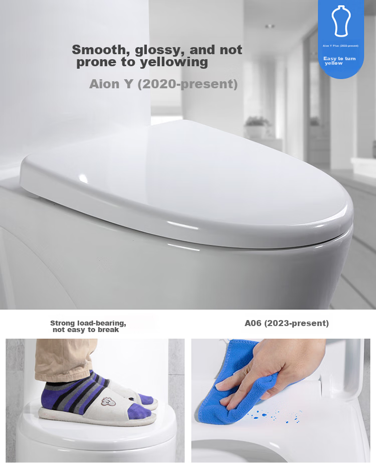 Haili Toilet Seat Universal Thick V-Shaped U-Shaped Toilet Cover Ring, Home Toilet Replacement Parts 079 8