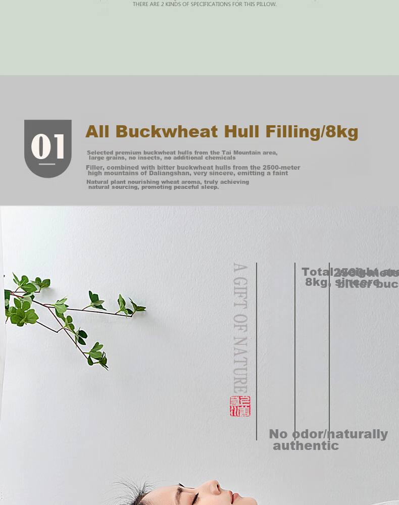Shangfan Buckwheat Hull Low Pillow, Buckwheat Pillow, Low Pillow, Meltblown Fabric Anti-Mite And Antibacterial Pillow Core, Cervical Pillow 14