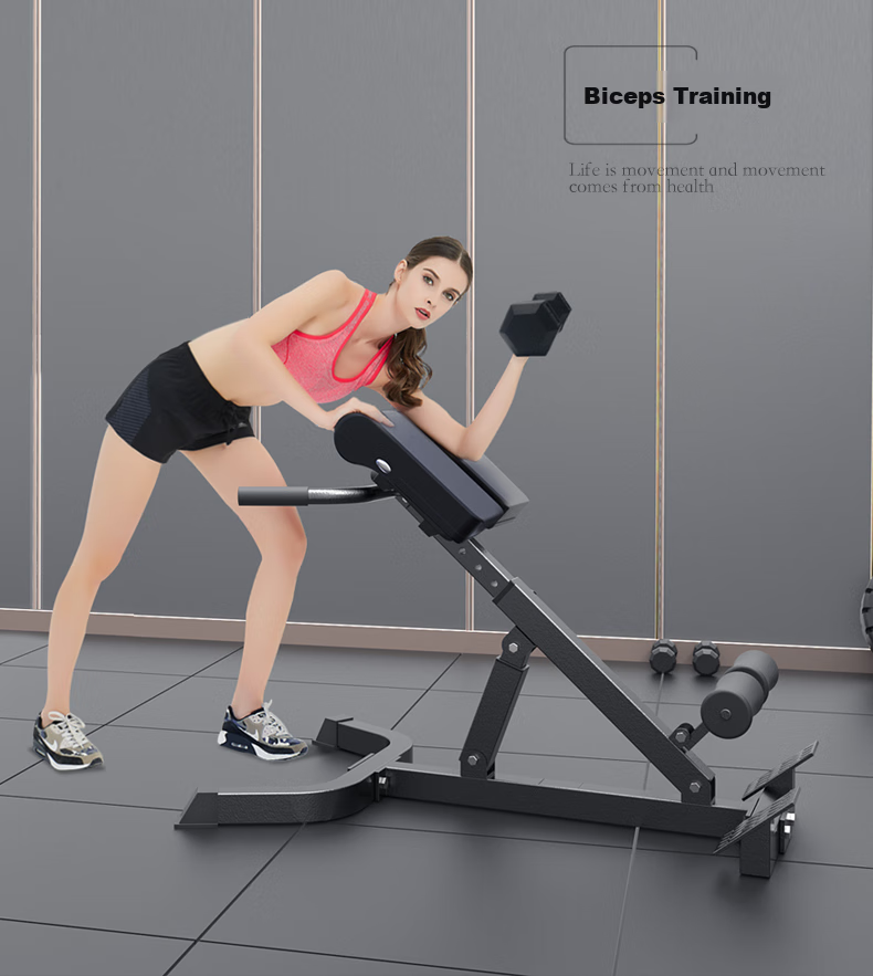 Chishang Roman Chair Back Muscle Trainer, Home-Use Waist And Back Exercise Equipment, Foldable Back Support Device 7