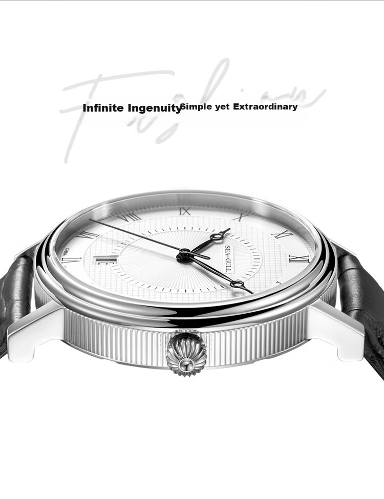 SEAGULL Men's Automatic Mechanical Watch, Bauhaus Date Display Men's Watch, Birthday Gift for Men, Model 6091 31