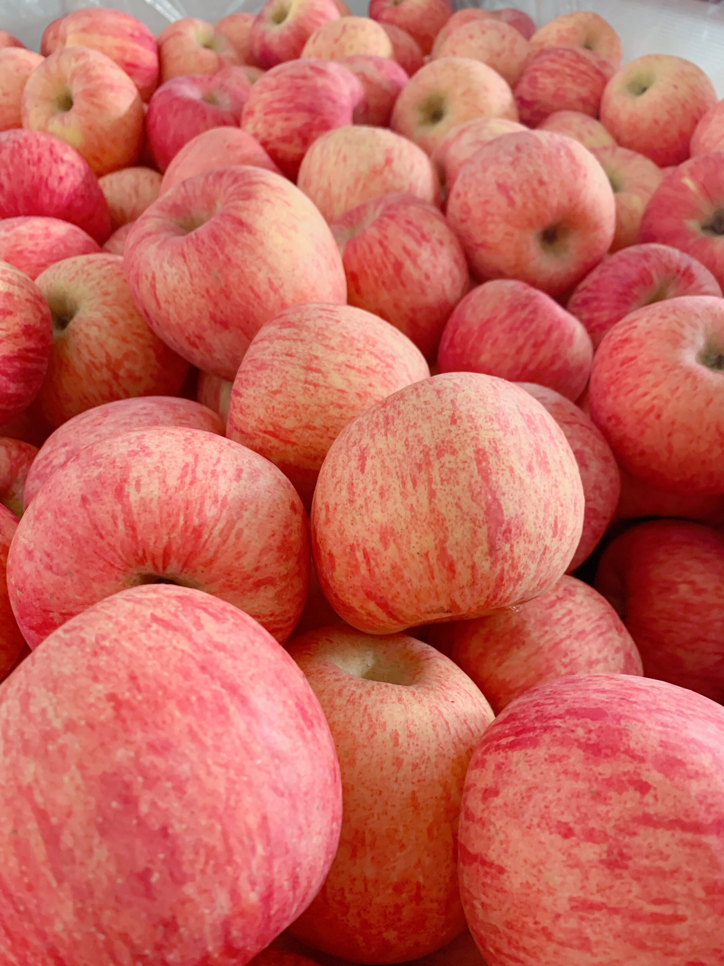 正宗山东烟台栖霞红富士条纹苹果 新鲜水果时令 5斤净果原产地直邮孕