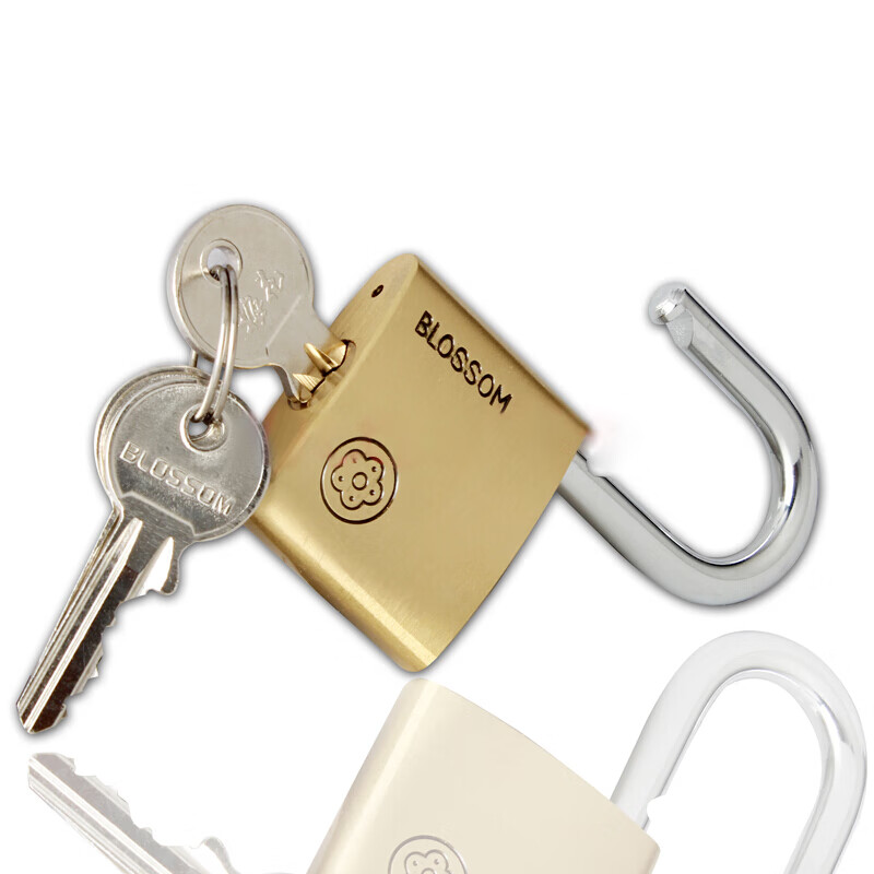 Замок BLOSSOM Copper Padlock BC9050, водонепроницаемый и устойчивый к ржавчине, для офиса, общежития, наружных складов, ворот и дверей отделений, 50 мм