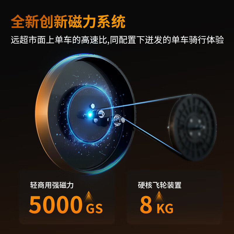 DDS Exercise Bike, Self-Generating Household Bicycle, Fitness Equipment, Indoor Bicycle, Smart Magnetic Control Bike DDS9330B