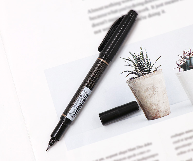 ZEBRA Retractable Marker Pen, Oil-Based Colorful Marker/logistics Chalky Pen/signature Pen, P-YYSS6, Gree 8