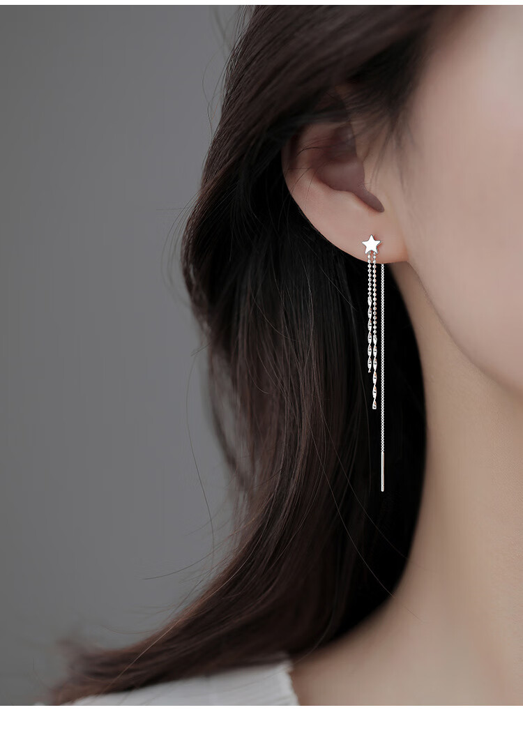 Dijing Butterfly Tassel Earrings for Women, Silver Earrings with Long Studs, New 2026 High-End Style, Birthday Gift for Girlfriend 4
