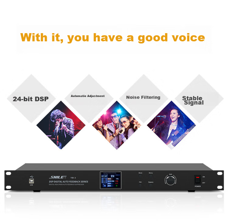 SHILE YW-3 Professional Feedback Suppressor, Professional Microphone, Automatic High-Speed KTV, High-Power Audio Equipment, Conference Room Gooseneck Microphone, Anti-Howling Processor 3