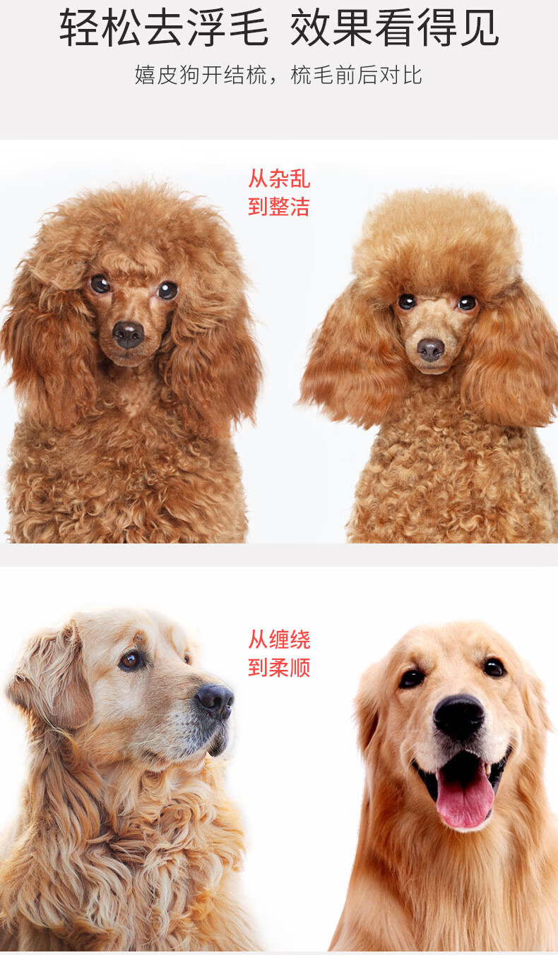 宠物开结梳 (3).jpg