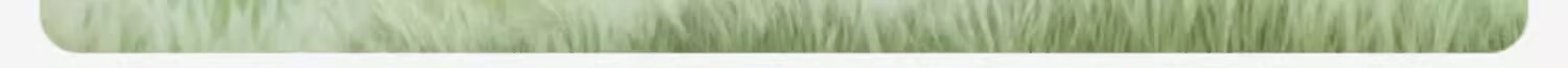 DAVE & BELLA Autumn Winter Girls Turtleneck Sweater Children's Stylish Knit Pullover New Year Top 2