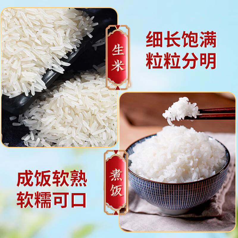太粮 米酷马坝银粘米20斤 油粘米大米籼米10kg 长粒籼米 当季新米