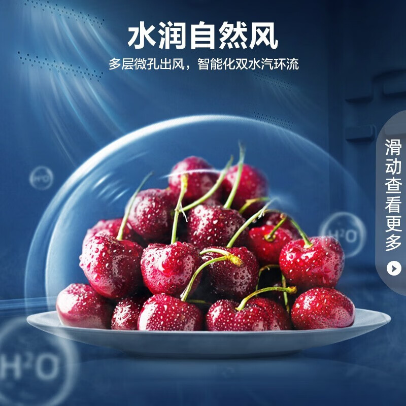 容声(Ronshen)【离子净味系列】452升变频一级能效十字对开门四门冰箱家用无霜超薄BCD-452WD12FP双循环TZ