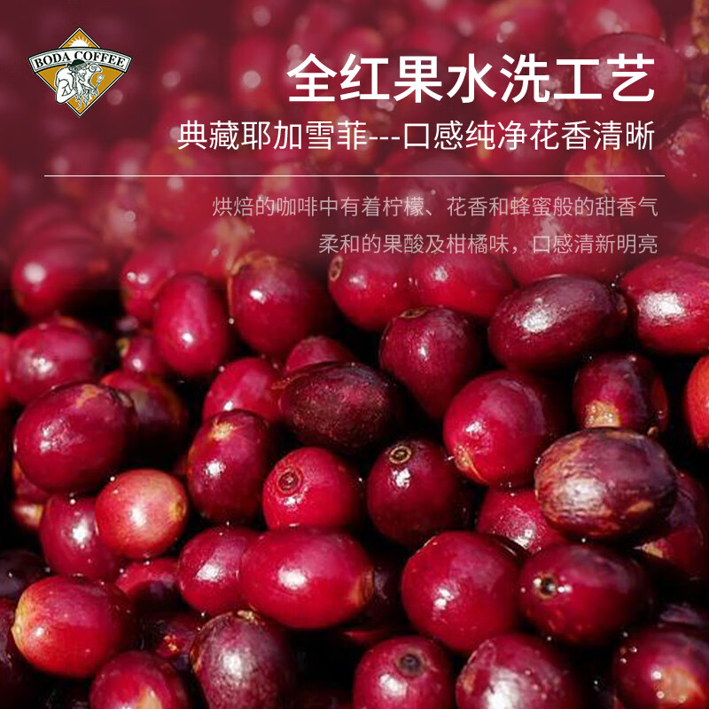 博达典藏耶加雪菲咖啡豆 黑咖啡现磨 500克