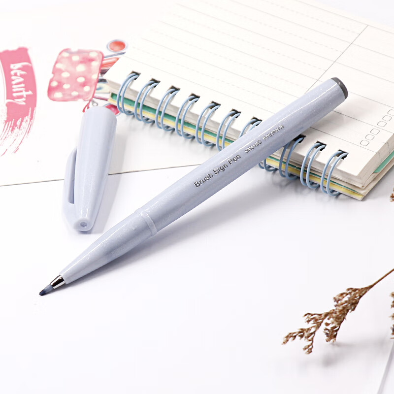Ручка Pentel SES15C Touch Brush Sign Pen, эластичный наконечник, на водной основе, для журналов, писем и открыток, 12 цветов