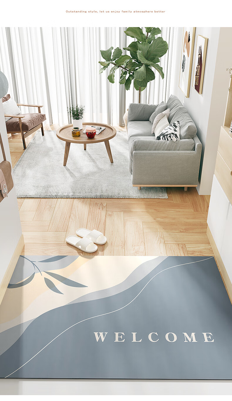 Dajiang Entrance Door Mat, Foot Mat, 2026 New Style, Cuttable Loop Pile Mat, Entrance Doormat, 80x120cm 2