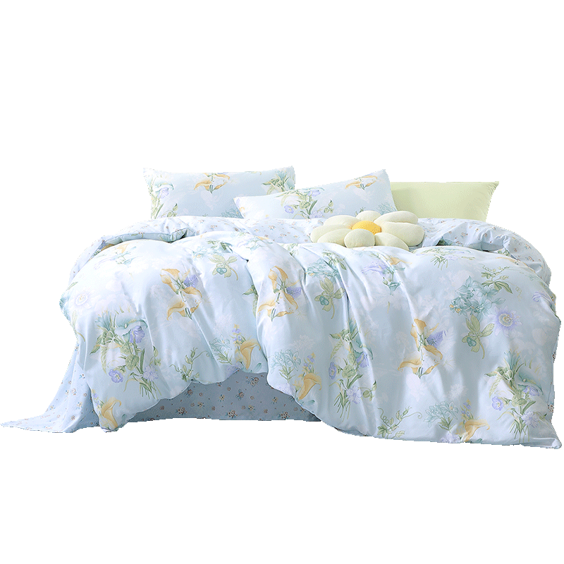Bravo Furniture Bedding Set with Brushed Duvet Cover And Bed Sheet, Skin-Friendly Double Set, 230*229cm