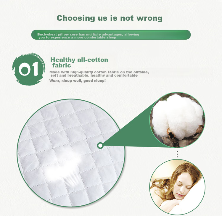 Hengyuanxiang Buckwheat Pillow, 100% Buckwheat Hull Pillow, Cervical Pillow for Sleep, Single Pack 2