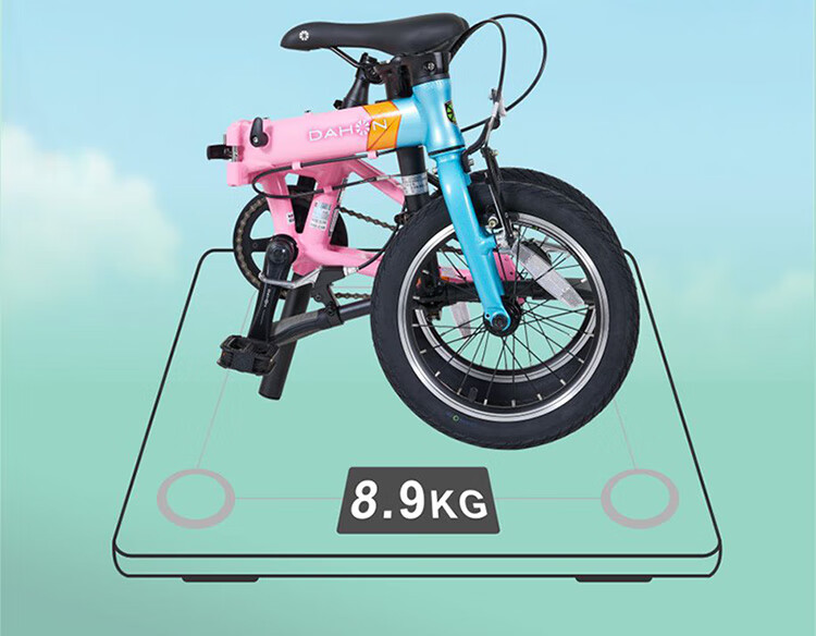 DAHON Children's Oversized Bike, 14-Inch Aluminum Alloy, for Boys And Girls Students, Small Wheels, KAA411, Gray-Black 7