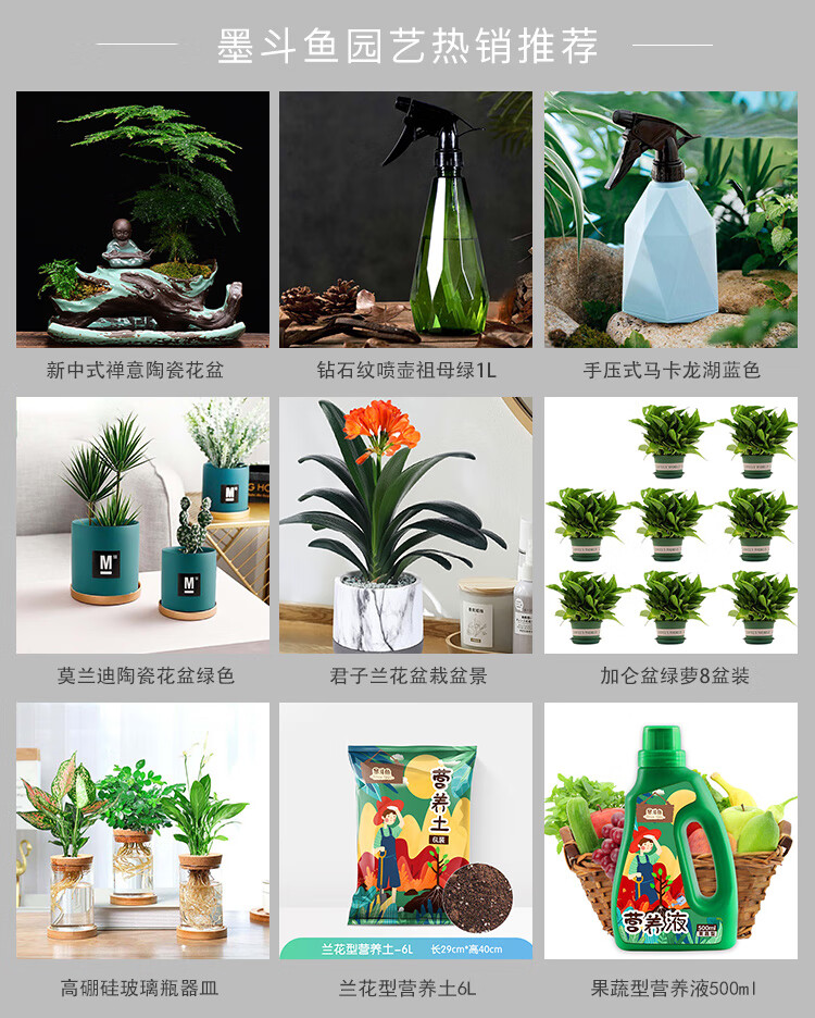 墨斗鱼花盆花器 墨斗鱼金边吊兰盆栽带吸水盆早安盆办公室会议室盆栽花卉大盆观叶绿植花卉自动吸水水培水养植物1514 行情报价价格评测 京东