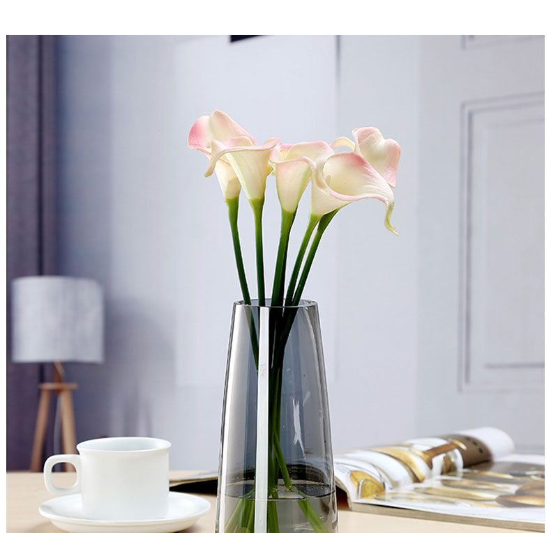 Shengshi Taibao Glass Vase Transparent Water Plant Container Flower Arrangement Vase Living Room Table Smoke Gray 22cm 8