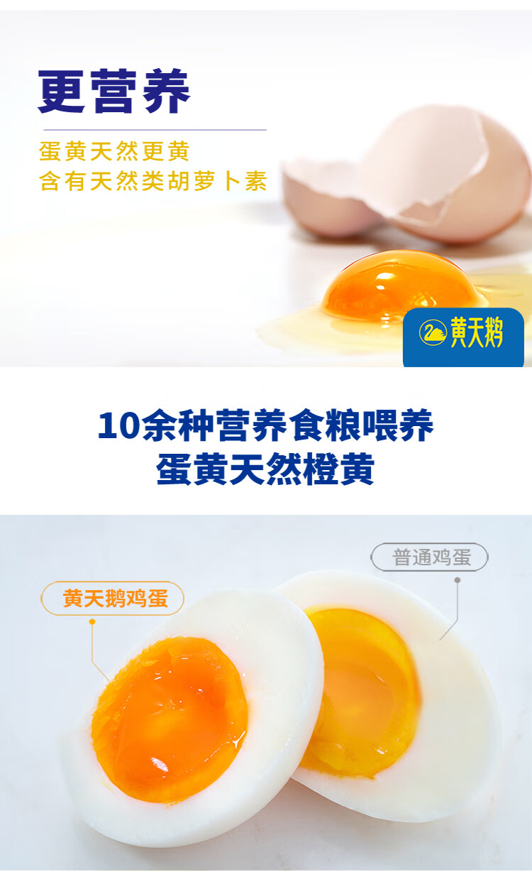 黄天鹅 鲜鸡蛋 20枚装 无沙门氏菌可生食 图10