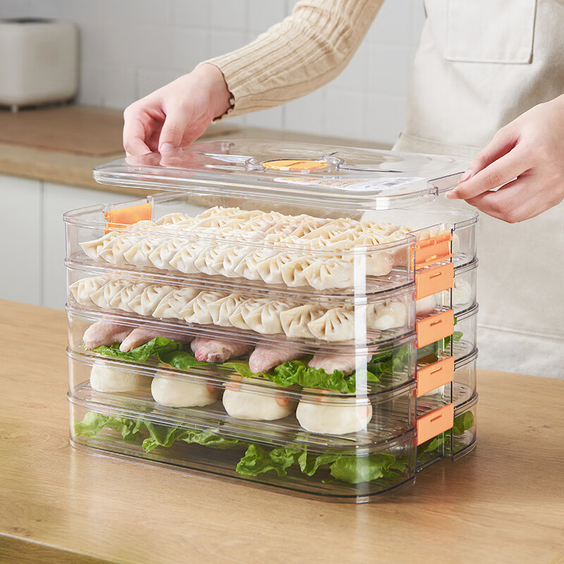 LONGSTAR Dumpling Freezer Box, Wonton Storage Container, Food-Grade Tray, Refrigerator-Specific Frozen Wonton Preservation Box, Four-Layer