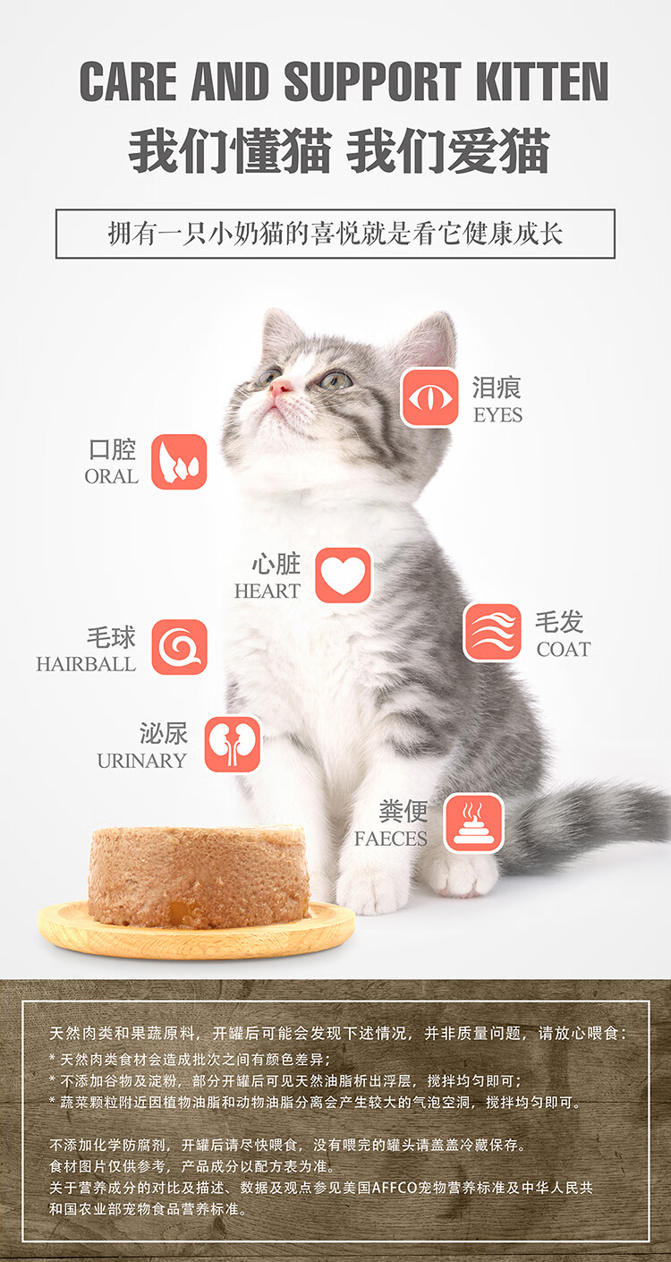 08-懂猫爱猫.jpg