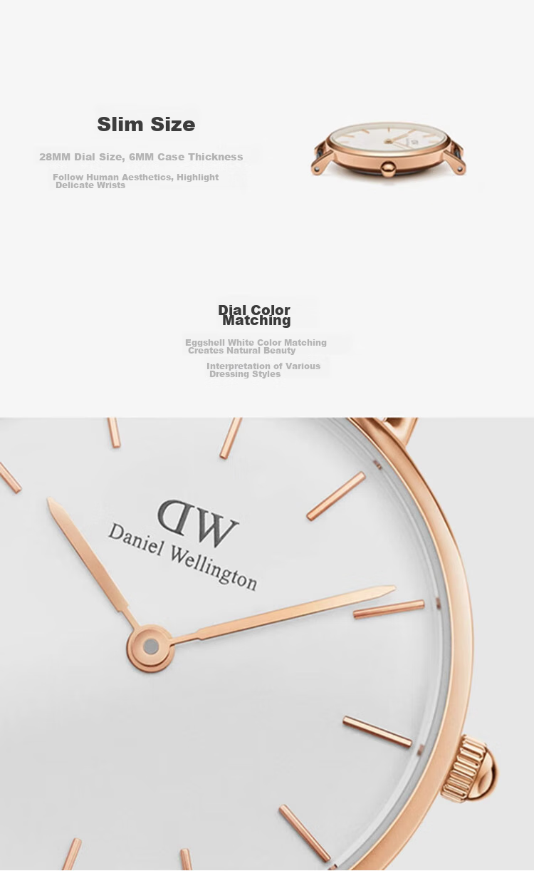 DanielWellington DW Ladies' Watch, Classic Leather Simple Fashion European And American Quartz Wristwatch, Birthday Gift for Girlfriend, DW228 7
