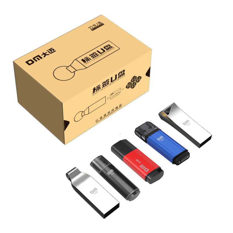 DM Daimai 4GB USB2.0 Flash Drive, PD167 Label USB Drive, Small Capacity USB Drive for Bidding And Tenders, 10 Pieces Per Box
