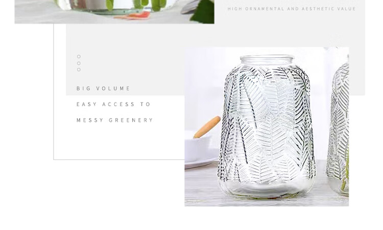 Jidukongjian Glass Vase, Flower Arrangement Vase, Hydroponic Plant Ecological Bottle, Transparent Desktop Vase for Living Room And Office Desk, Home Decor Ornament 17
