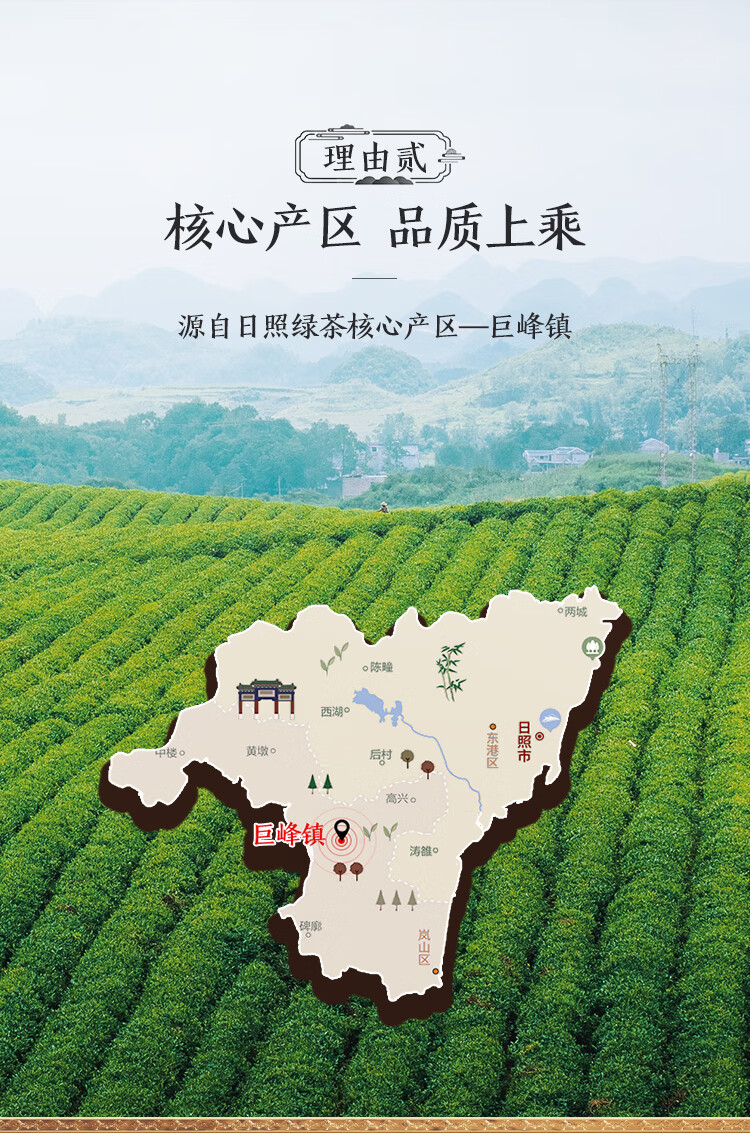 日照绿茶百满特级绿茶100g5g20包有机绿茶无公害认证年货节礼盒绿色