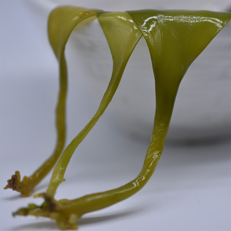 海边日记 霞浦特产海带嫩芽嫩苗 盐渍 海白菜 裙带菜 嫩苗200克*1袋