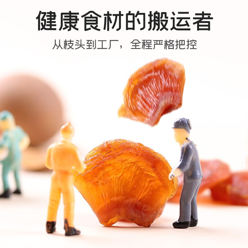 富昌 桂圆肉480g 无核免剥福建特产干货龙眼肉干果 煲汤泡茶水煮粥