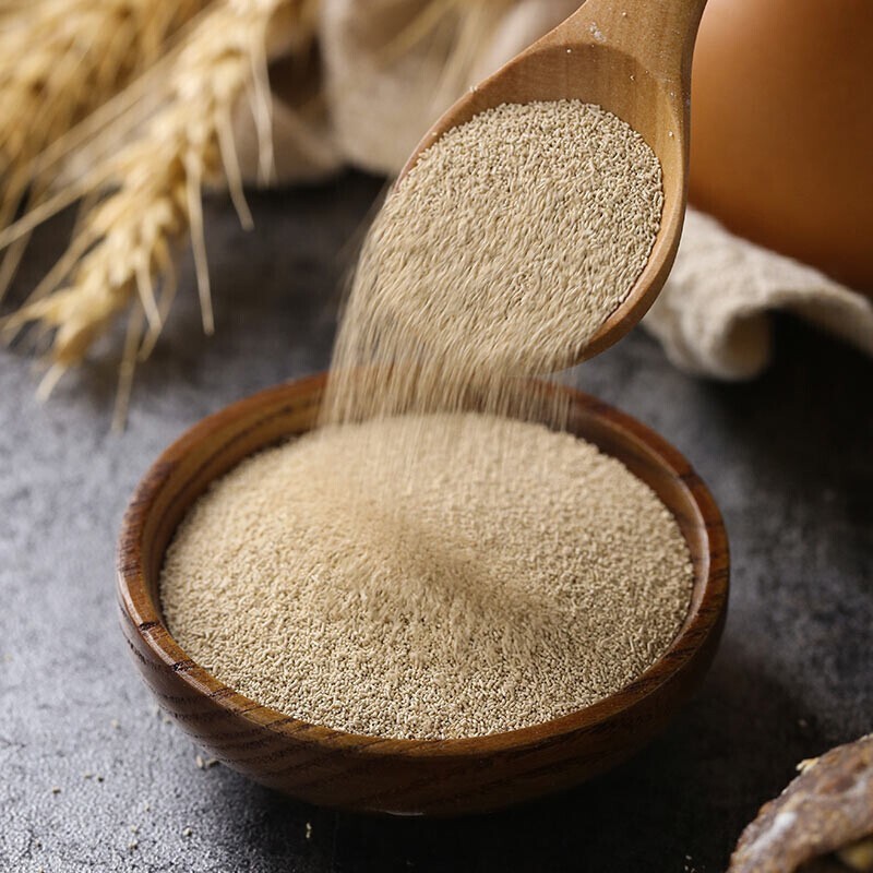 燕子（SAF INSTANT）烘焙原料 高活性即发酵母粉100g 耐高糖