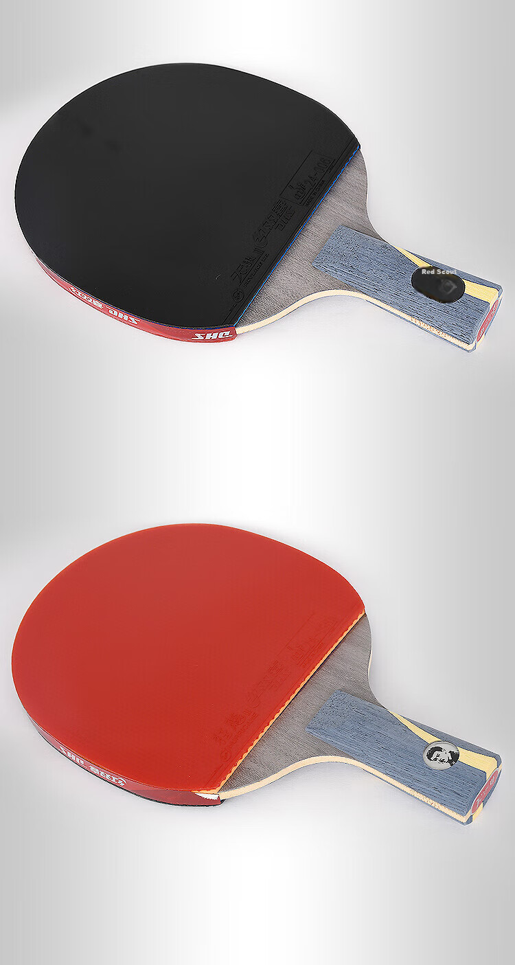 DHS Wang Hao Star Double-Sided Anti-Grip Table Tennis Racket [Fast Delivery from Beijing Warehouse + 2 Balls + Racket Case] Straight Handle Racket 13