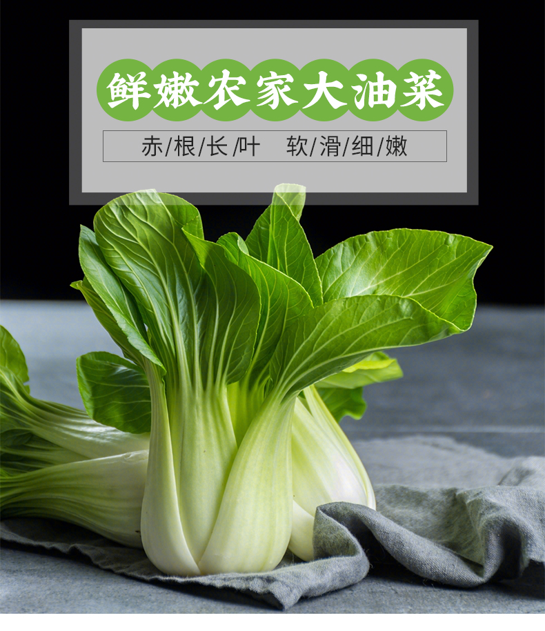 油菜 青菜 约450g 火锅食材 上海青 新鲜蔬菜