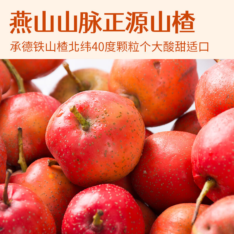 怡达双色山楂卷铁山楂200g 果丹皮山楂片蜜饯果干果糕儿童零食