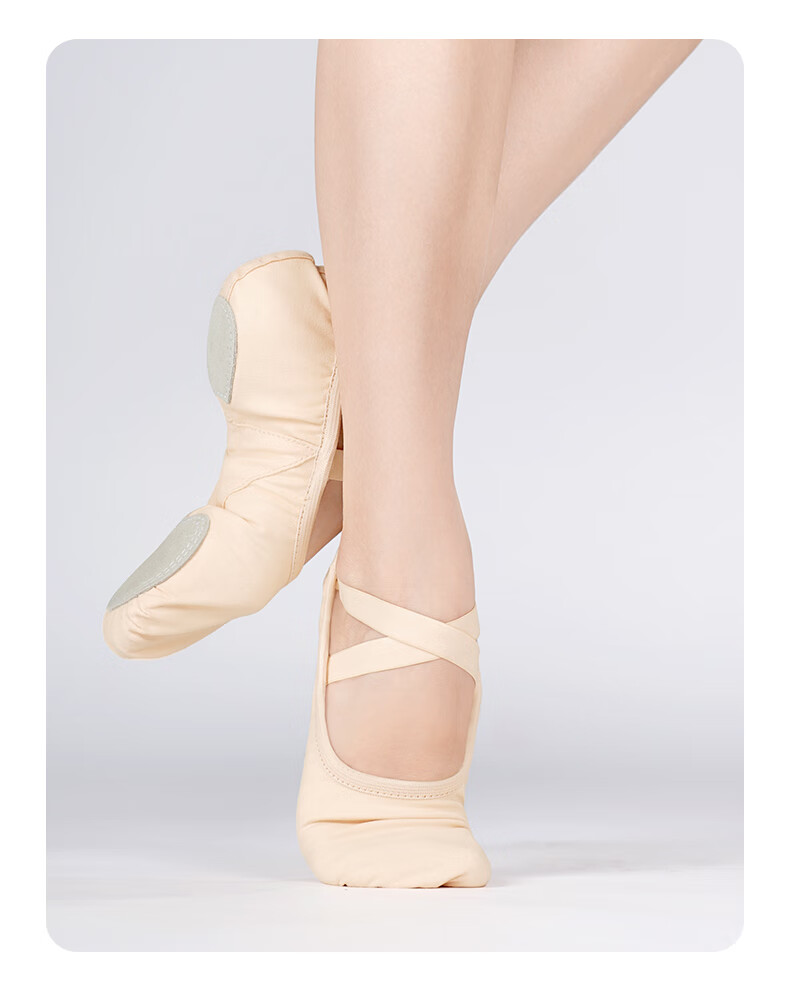 Aiwuge Professional Dance Shoes for Women, Soft-Soled Practice Shoes, Elastic Ballet Shoes, Teacher's Cat Paw Shoes, Ballet Pink, Size 35 4
