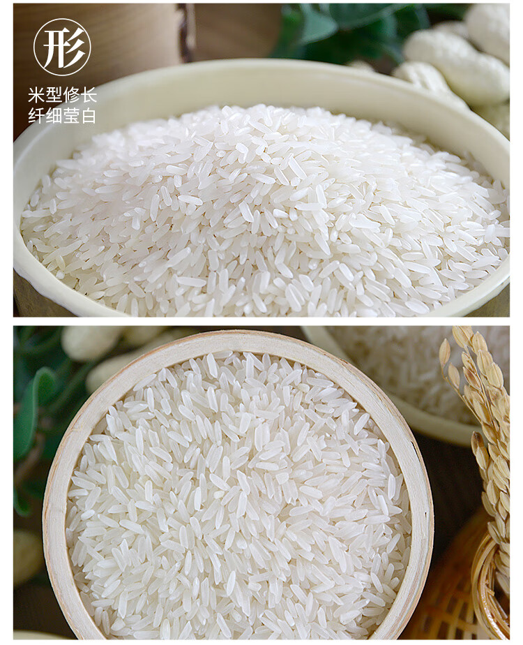 泰金香 莲花香米 长粒大米 籼米 年货团购 大米5kg